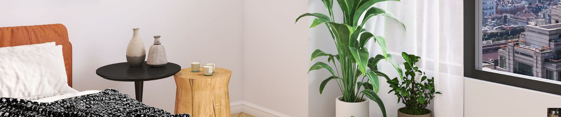 Remodelaciones en Guadalajara: precios y consejos